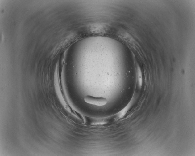 X0000061760424200512021514