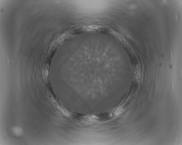 X0000061760427200512021514
