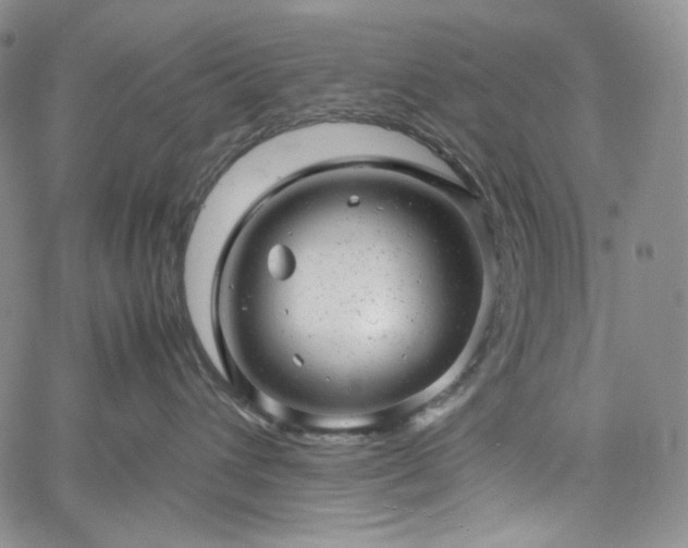 X0000061760432200512021514
