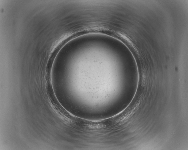 X0000061760439200512021514