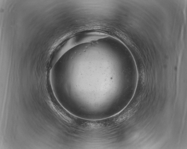 X0000061760442200512021514