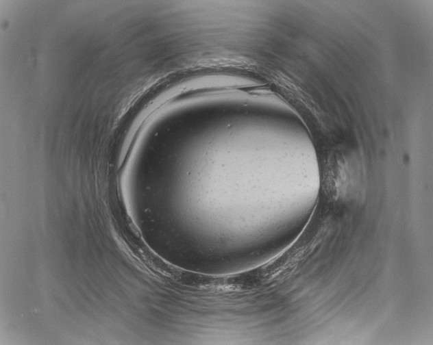 X0000061760448200512021514