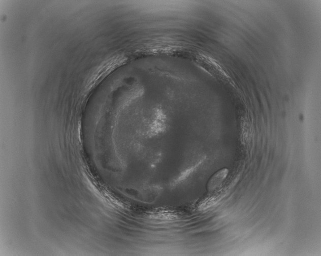 X0000061760451200512021514
