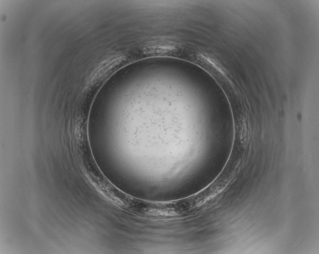X0000061760455200512021514