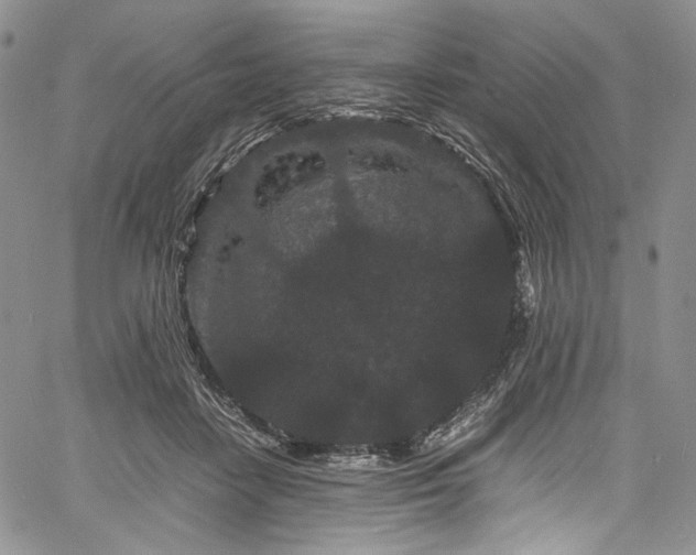 X0000061760458200512021514