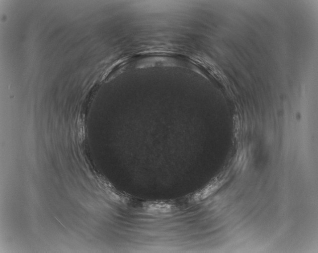 X0000061760471200512021514