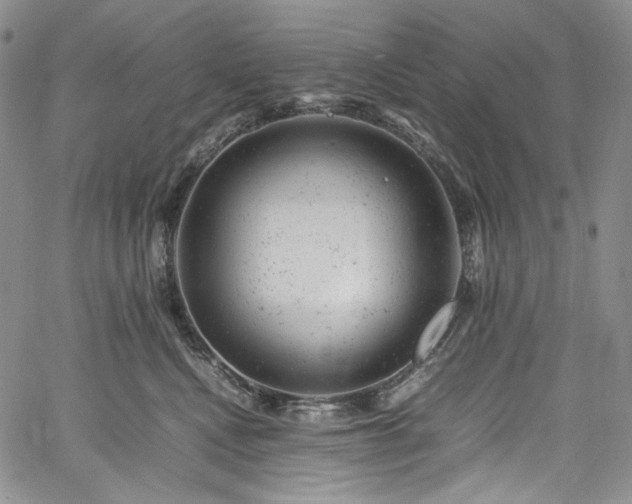X0000061760472200512021514