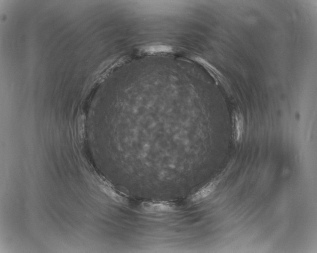 X0000061760475200512021514