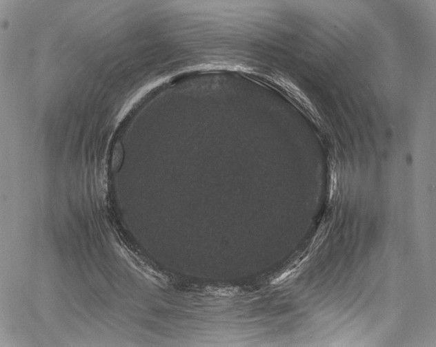 X0000061760484200512021513