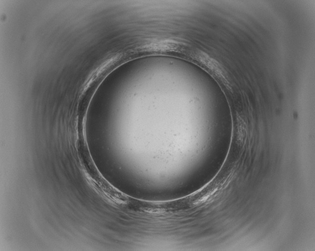 X0000061760486200512021513