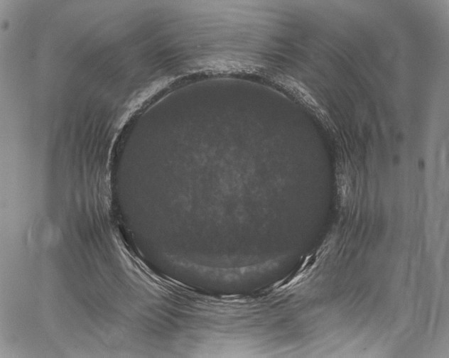 X0000061760488200512021513