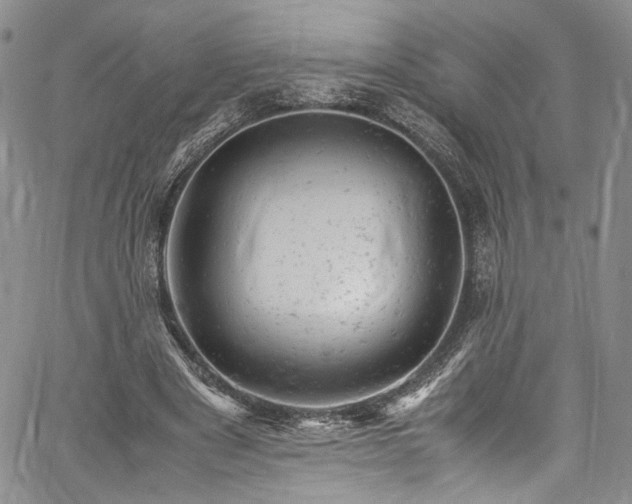 X0000061760489200512021513