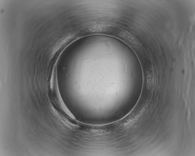 X0000061760490200512021513