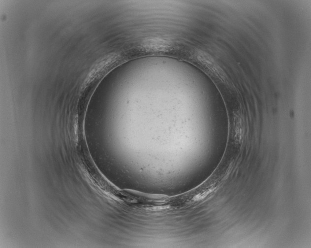 X0000061760494200512021513