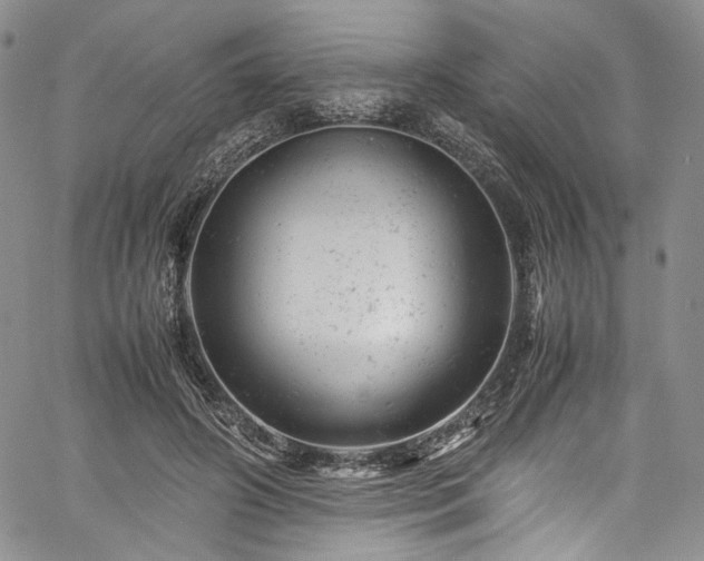 X0000061760498200512021513