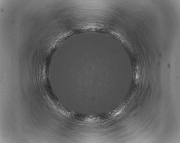 X0000061760504200512021513