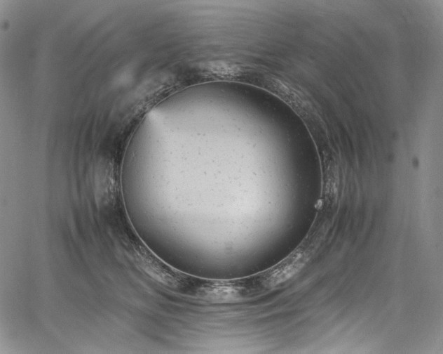 X0000061760518200512021513