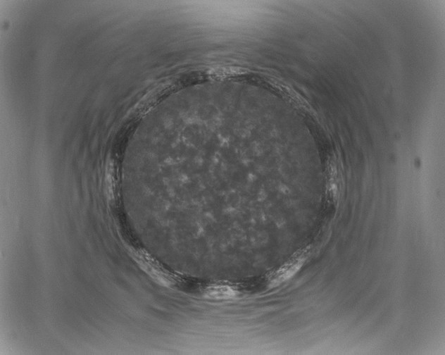 X0000061760519200512021513