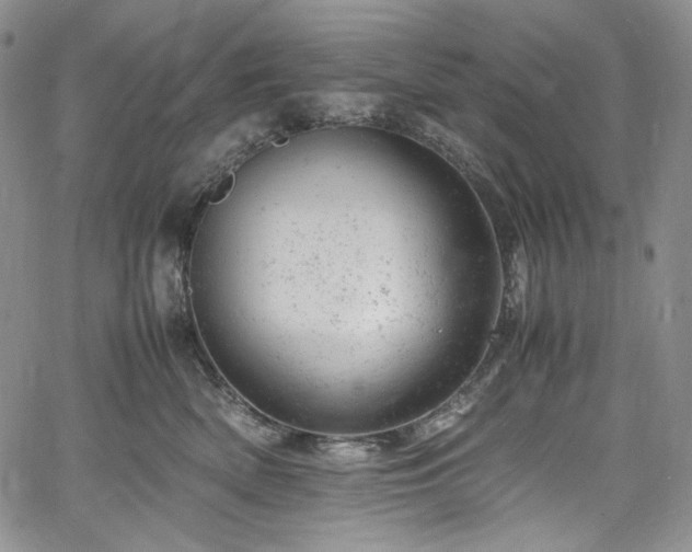 X0000061760522200512021513