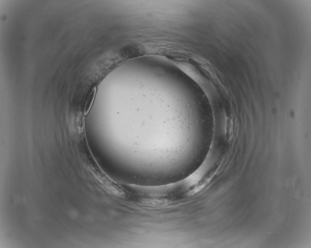X0000061760525200512021513