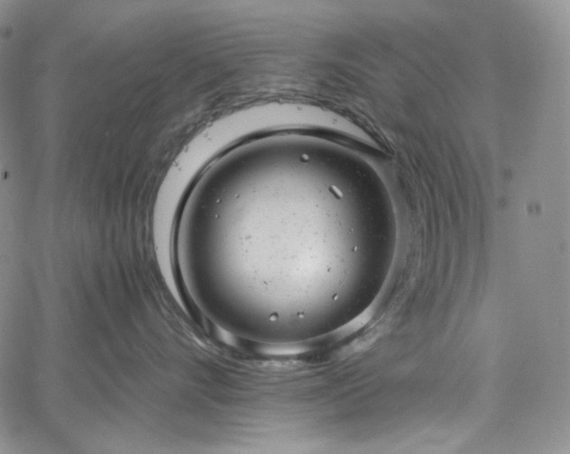 X0000061760528200512021513