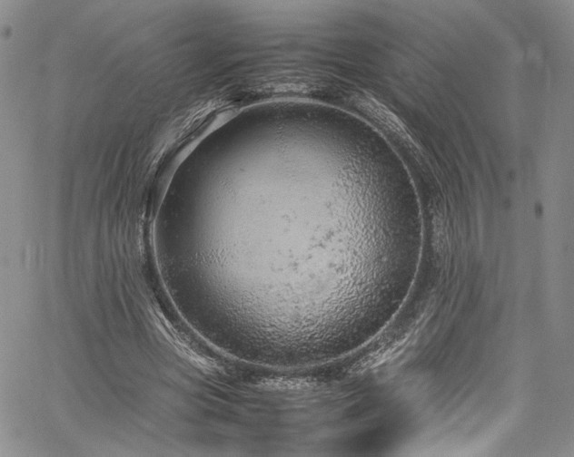 X0000061760537200512021512
