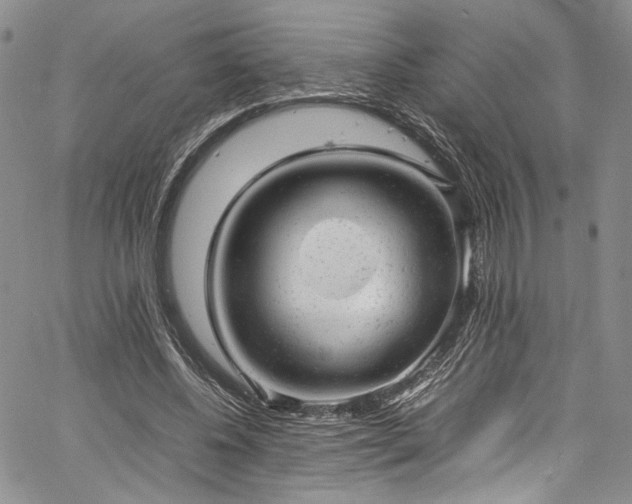 X0000061760540200512021512