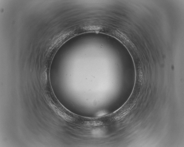 X0000061760541200512021512