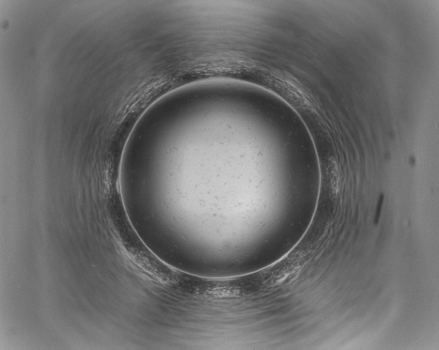 X0000061760546200512021512