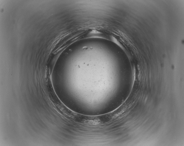 X0000061760548200512021512