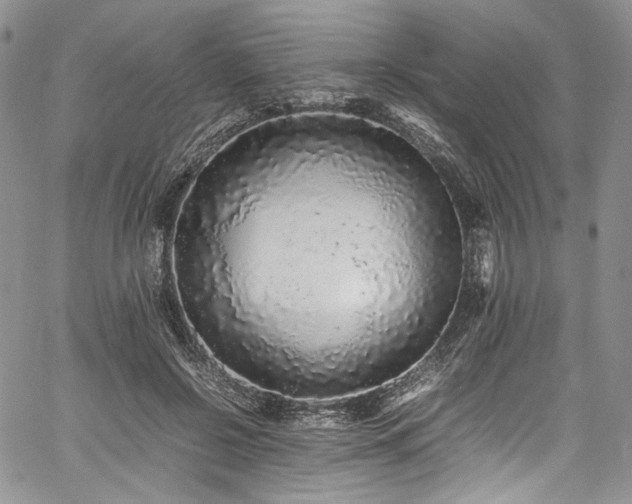 X0000061760550200512021512