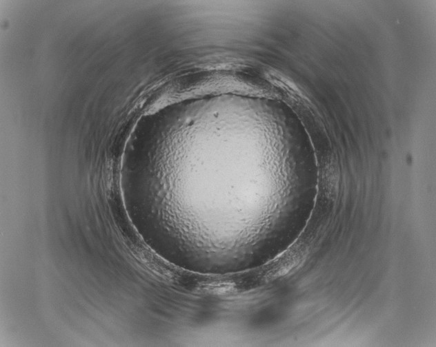X0000061760554200512021512