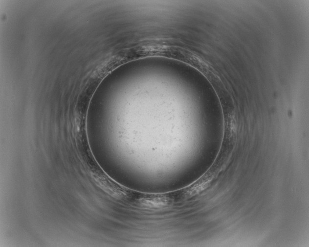 X0000061760567200512021512