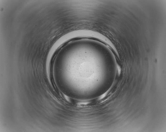 X0000061760568200512021512