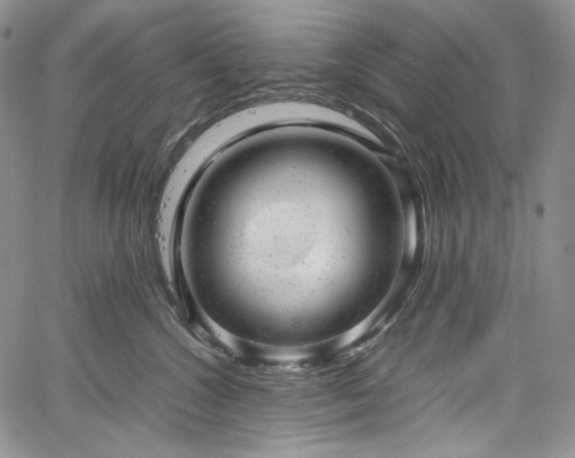 X0000061760572200512021513