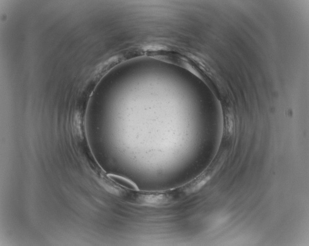 X0000061760575200512021513