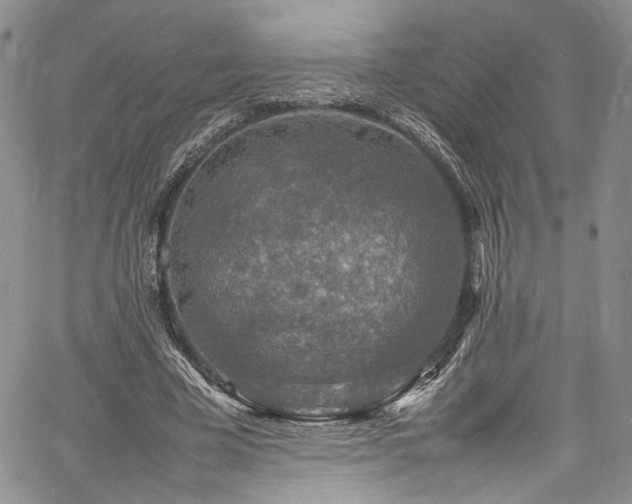 X0000061760585200512021512