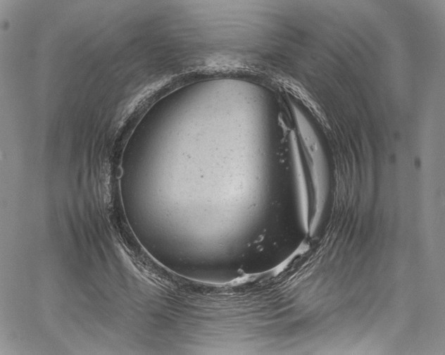 X0000061760588200512021512