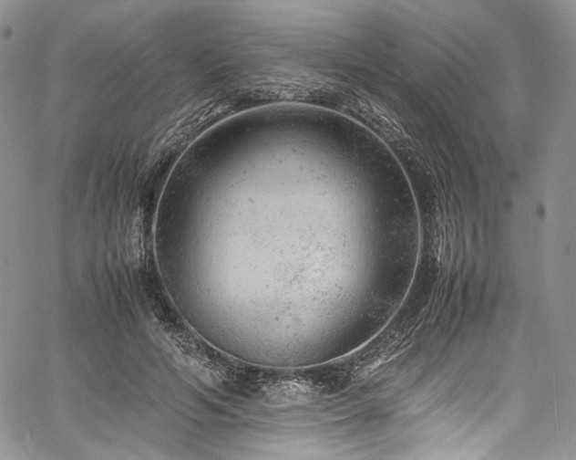 X0000061760594200512021512