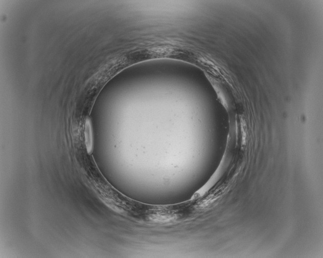 X0000061760601200512021511