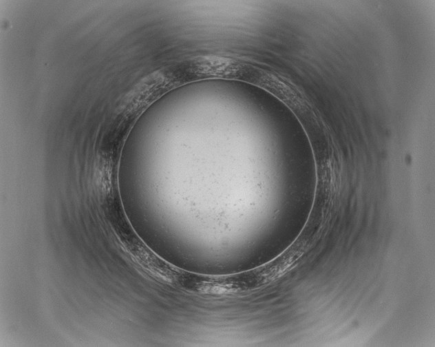 X0000061760602200512021511
