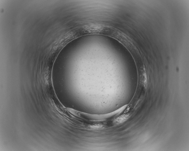 X0000061760604200512021511