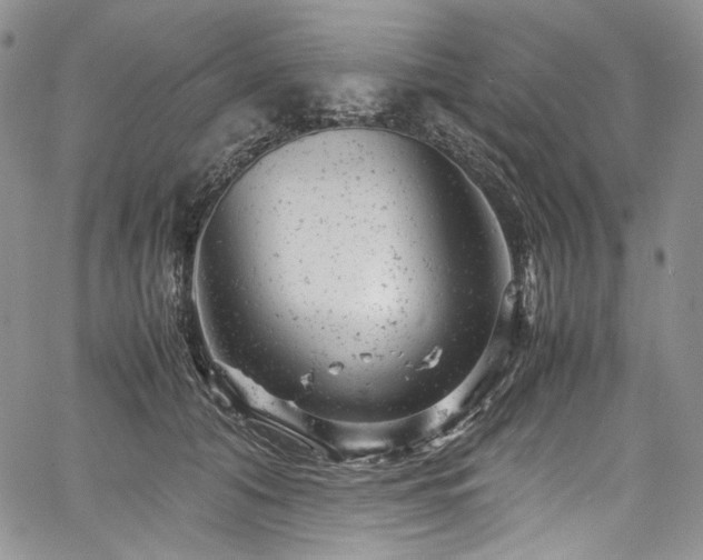 X0000061760608200512021511