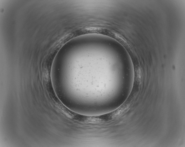 X0000061760617200512021511