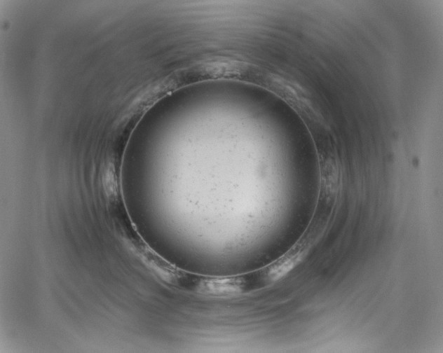 X0000061760622200512021511