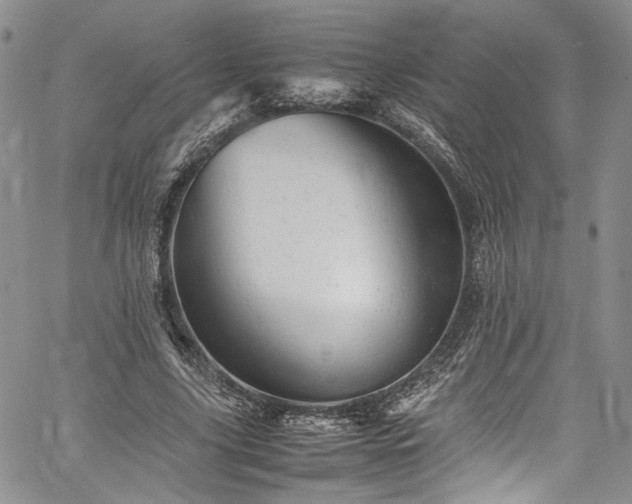 X0000061760635200512021510