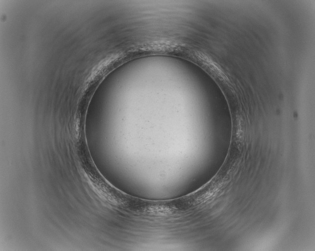 X0000061760636200512021510