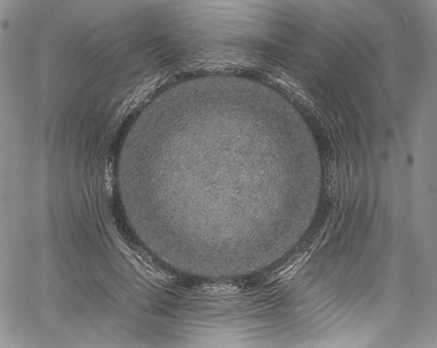 X0000061760644200512021511