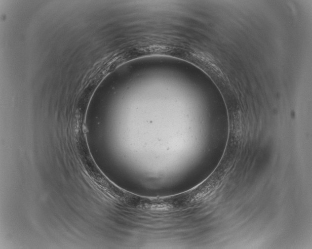 X0000061760645200512021511