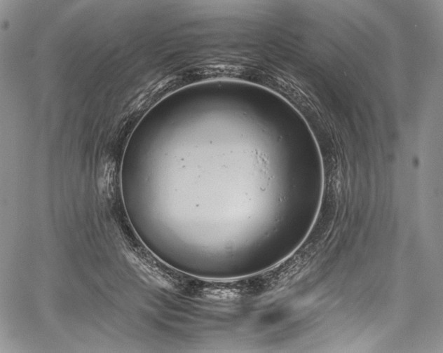 X0000061760649200512021511